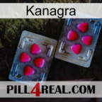 Kanagra 15